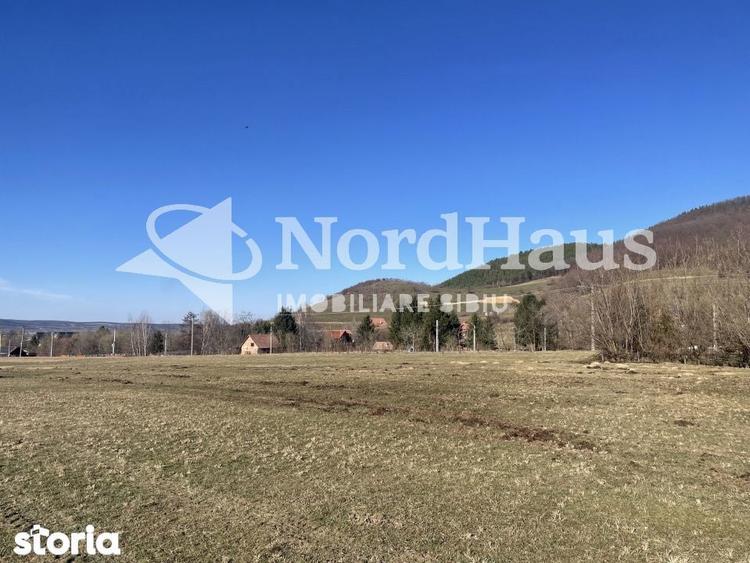 VANZARE TEREN EXTRAVILAN | GURA RAULUI, SIBIU | 821 MP - 2