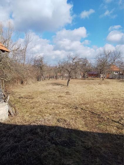 Persoana fizica vand casa in Lelese, jud. Hunedoara - 4