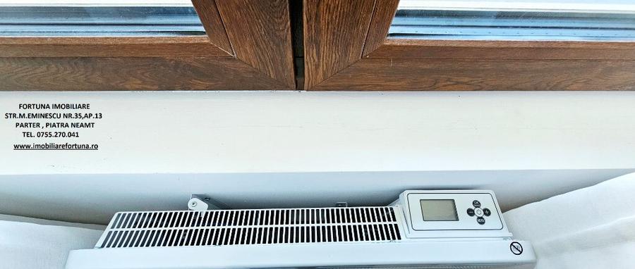 Proprietate D-va Rosie, vila S+P+E si teren - 7