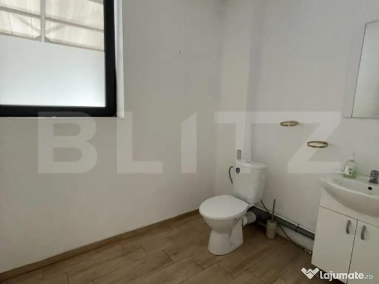 Spa?iu comercial de inchiriat Calea Moldovei - 1