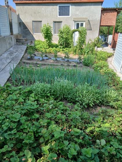 Casa de vanzare Nadastia de jos