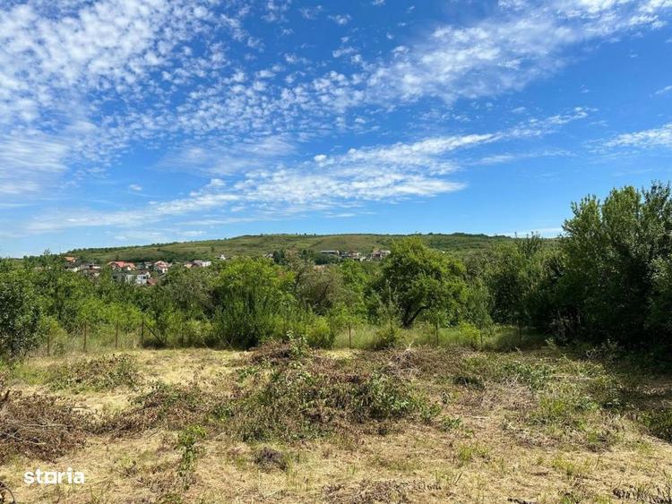 Teren 950 mp Borhanci l Zona de exceptie - 3