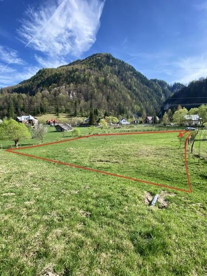 Teren panoramic insorit, utilitati, panta mica si padure, turism sau vacanta - 18