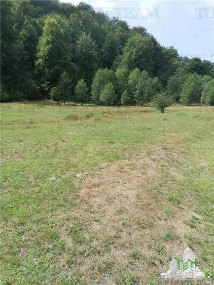 Teren intravilan - Berevoiesti - Arges - 4