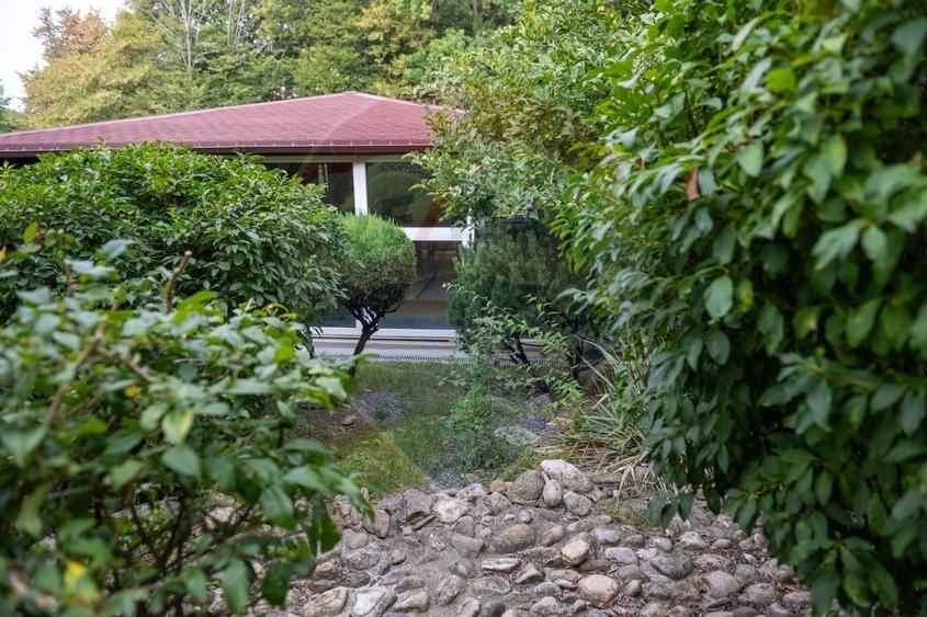 Vila spectaculoasa de vanzare in Faget - 15