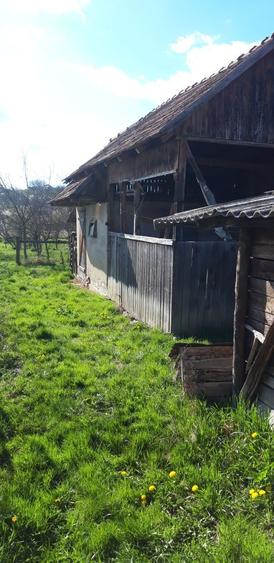 Casa la tara jud Mures - 2