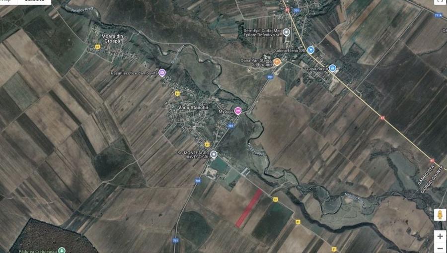 Teren extravilan 66800 m2 , ideal investitii, Corbii Mari Db. - 1