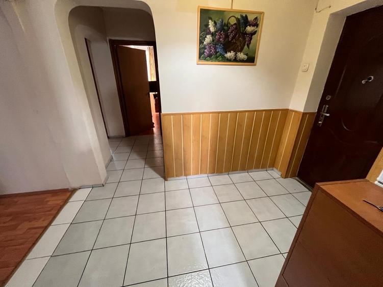 Dristor 3 minute metrou - 7