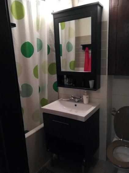 Teiul Doamnei, Doamna Ghica - 8