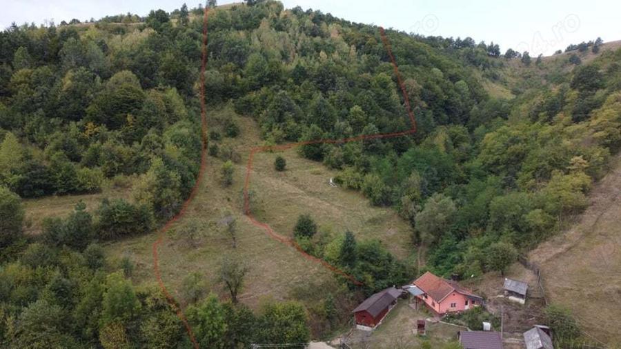 Vand casa (2 corpuri+ ograda) + 2 terenuri in Visca, Jud. Hunedoara - 2