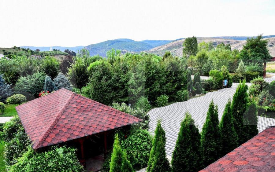 Proprietate HORECA cu sala de evenimente moderna, intr-o oaz - 9