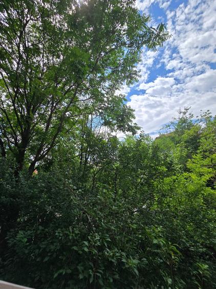 Complexul Studentesc -1 camera - et 2 - 7