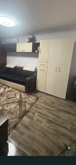 Garsoniera Tractorul- Pet Friendly - 2