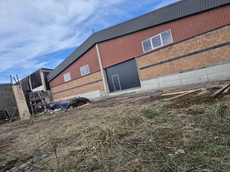 De inchiriat hala depozit - 2