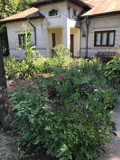 Casă cu 4 camere în Movilița
