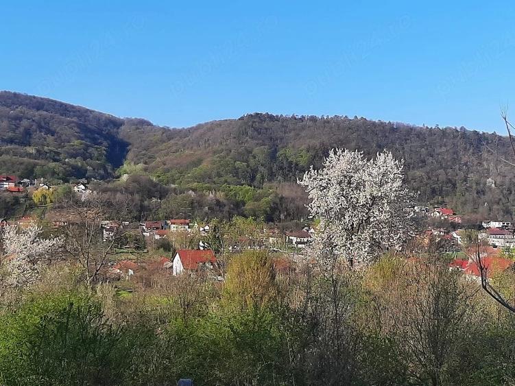 Teren de 1200 mp, în Vlădesti