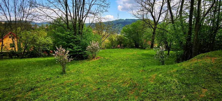 Teren intravilan de 2782 mp, în Central
