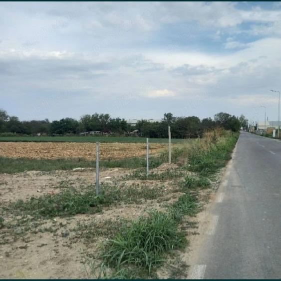 Teren de 2600 mp, în Jilava