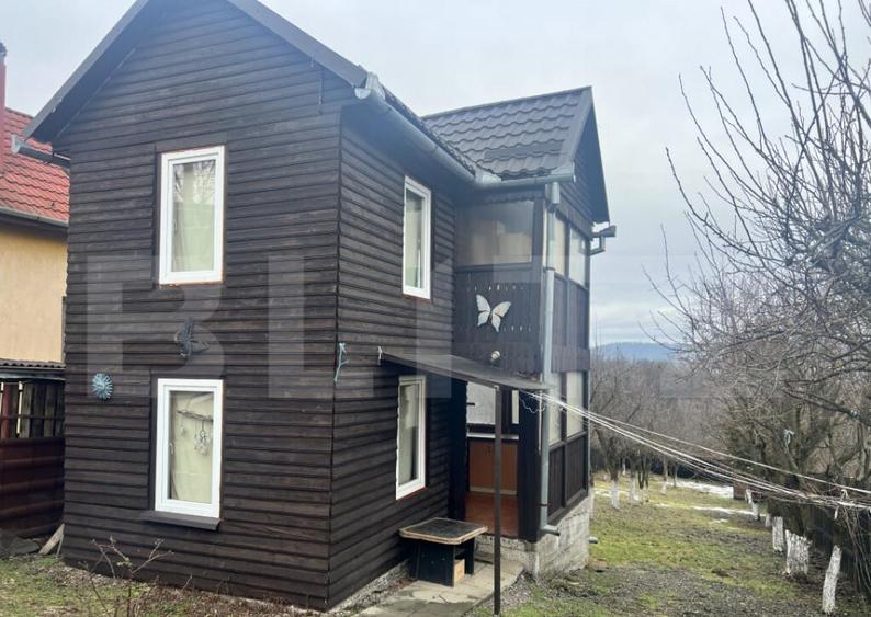 Cabana de lemn- Vatmani - 1