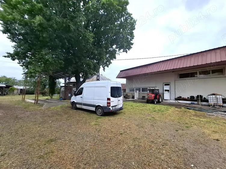 Crama de vanzare Odobesti -Vartescoiu - 6