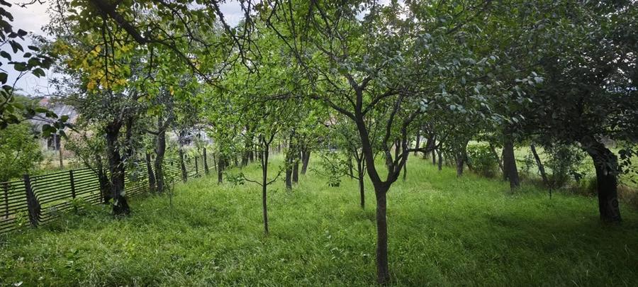 Casa batraneasca in Bretcu (Covasna) la schimb cu garsoniera in orasul Brasov - 1