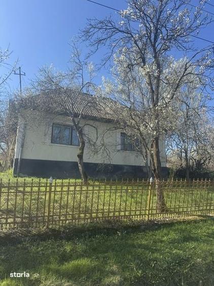Casa si teren de vanzare la 40 km de Baia Mare - 4