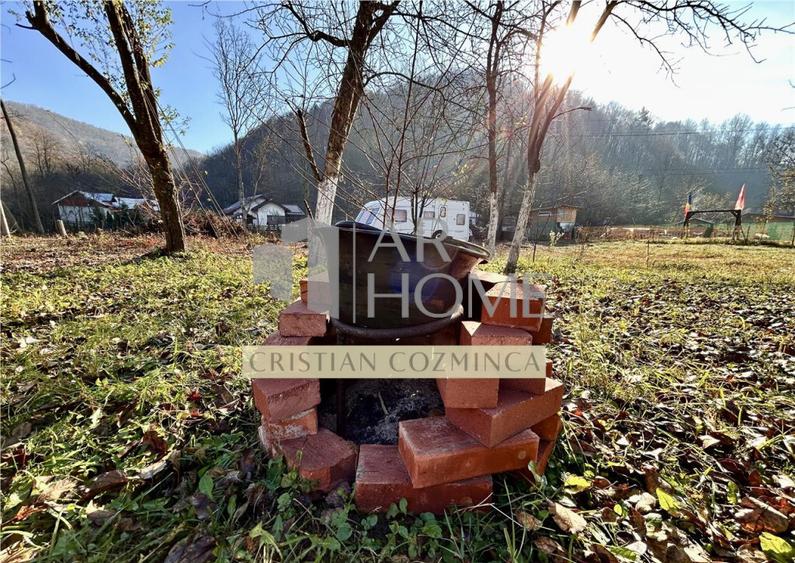 Teren cu constructii Cosmina de Sus - Foisor, baie, cabanuta - 8