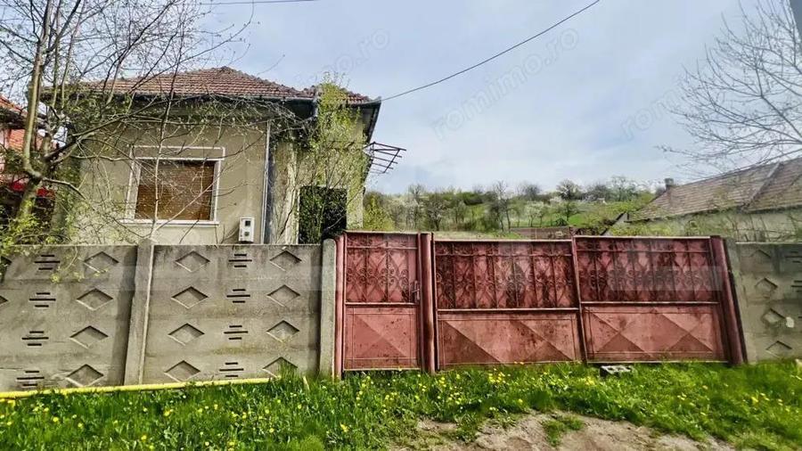 Casa de Vanzare, 4139 mp, Hapria, Ciugud Ideala ca Locuin?a sau Proiect Rural - 7