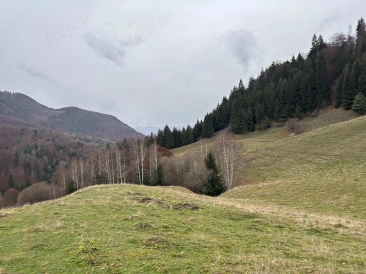 Teren extravilan 4 mp Valea Cheii Dambovicioara - 2