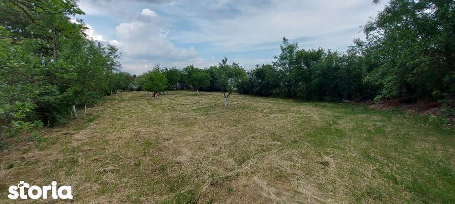 Teren intravilan de vanzare | 900 mp | Movila | Toate utilitatile - 1