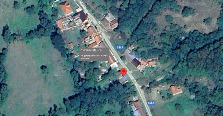 Casa si teren- Loc. Dognecea, jud. Caras-Severin - 4