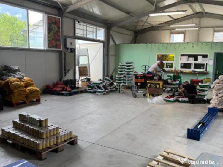 Spatiu comercial 280 mp + 700 mp curte, Filiasi - 4