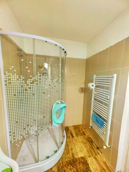 Casa Inedita , 300 mp utili, P+M,  5 bai, 6 dormitoare , 1975 mp teren,  Sacalaz - 19