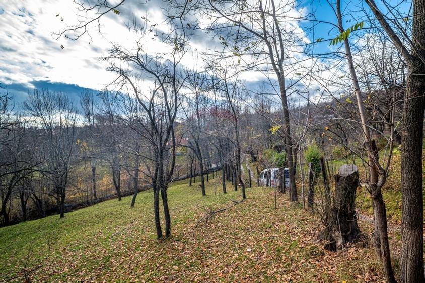 Teren intravilan 4384 mp - Comuna Talea,  judetul Prahova - 4