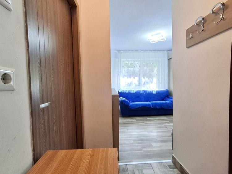 De Vanzare Garsoniera Teiul Doamnei zona Lacul Tei - 14