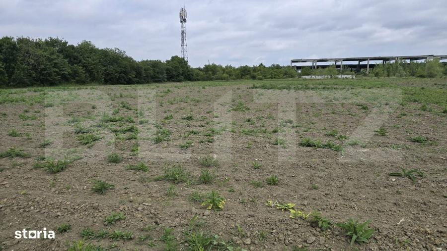 Teren extravilan, 5000 mp , zona Lucian Blaga - 3