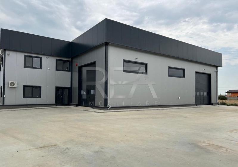 Hala de inchiriat in Domnesti / Centura - 6