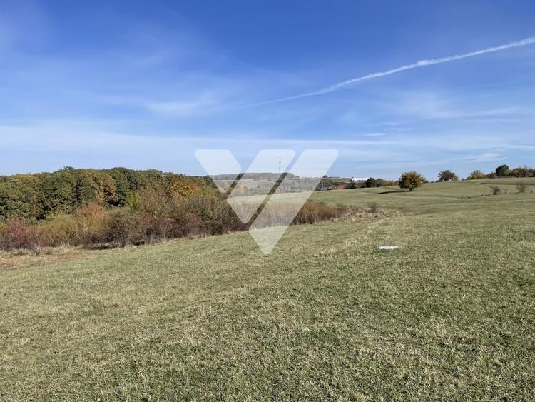 Teren extravilan 1342 mp zona linistita – Rasinari - Sibiu - 9