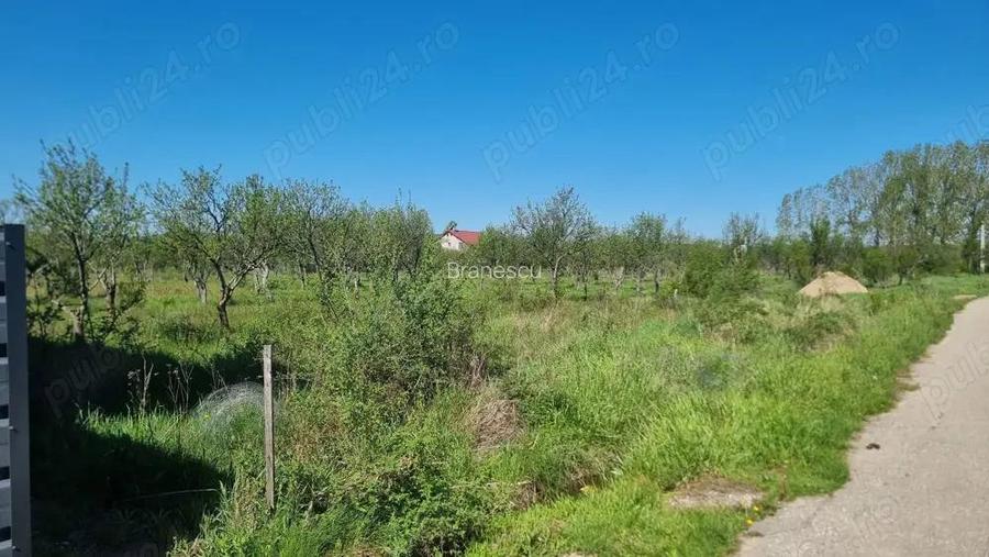 Vand loturi teren intravilan Bascov, Arges Vand loturi teren intravilan Bascov, Arges