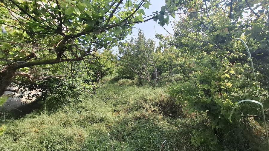 Kamsas - teren 1150 mp cu deschidere 30 ml - 4