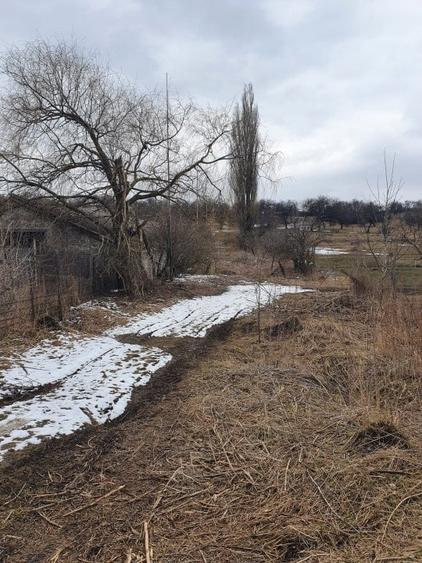 Teren Construcții extravilan de 10000 mp, în Bod - 11