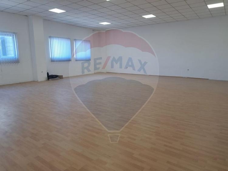 Spatii depozitare /productie  500 /100/  85/54 mp Jilava  Progresul - 5