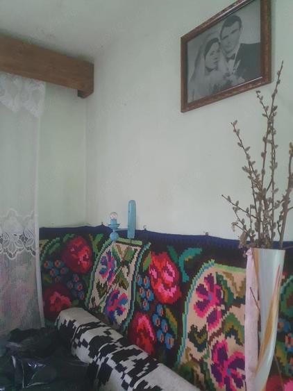 Casa de vanzare in zona turistica - Bude?ti, Maramure? - 4