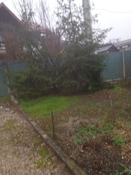 Casa de vacanta +teren 450m2 - 1