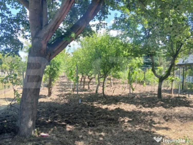 Casa de vanzare 800 mp curte, 32 mp utili, Bratovoe?ti - 12