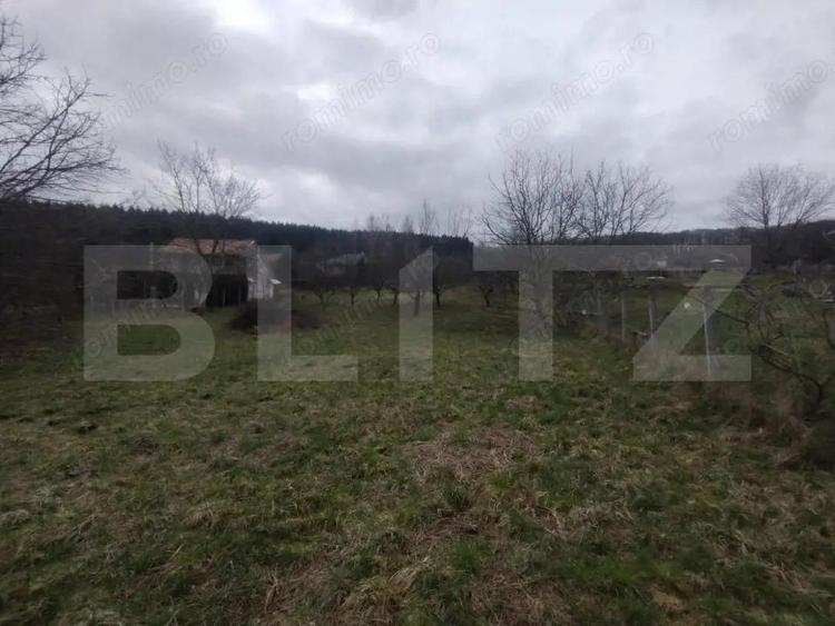 Teren intravilan, 1700 mp, utilitati, zona Dealu Jelnei - 3