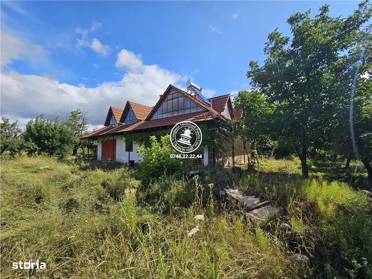 Teren intravilan 6650 mp ,42ml deschidere , toate utilitatile , asfalt - 1