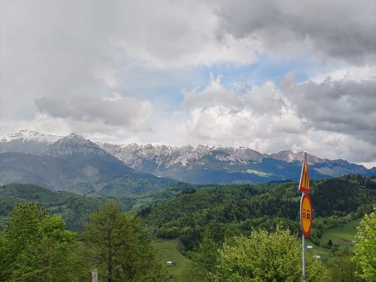 Oportunitate rara! Teren 7.283 mp, investitie garantata - 13