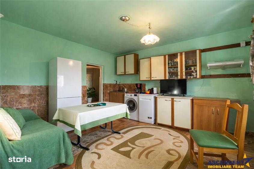 FILM! Casa cu sura, pivnita, balta cu pesti, 2.280 mp teren roditor, L - 15