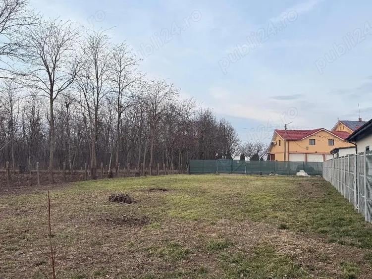 Ofer spre chirie Teren in Horia ,910 MP 18,50 ML deschidere ,300 euro luna - 2